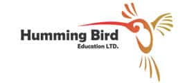Humming Bird